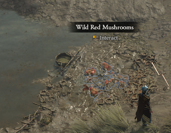 What Wild Red Mushroom Looks Like In Diablo 4.