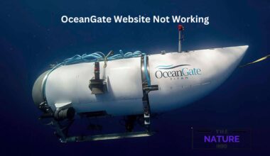 OceanGate Website Not Working