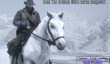 Does White Arabian Respawn