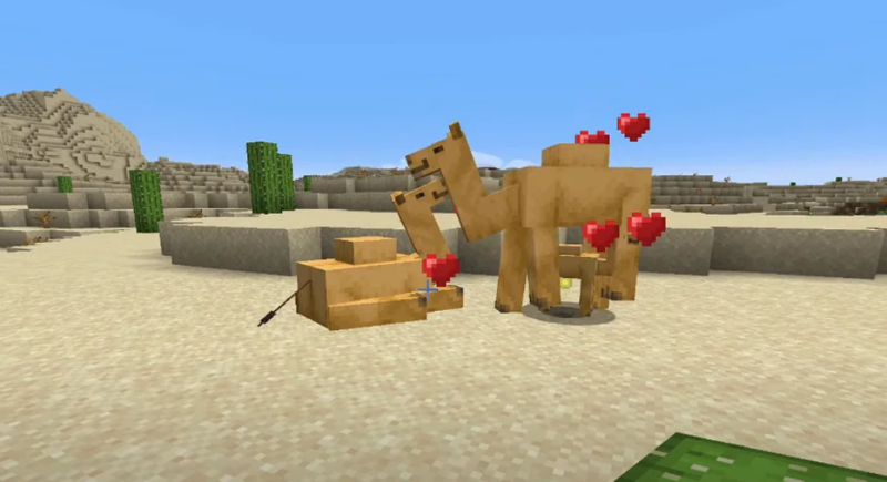 Can Camels Get In The Boats In Minecraft? - The Nature Hero