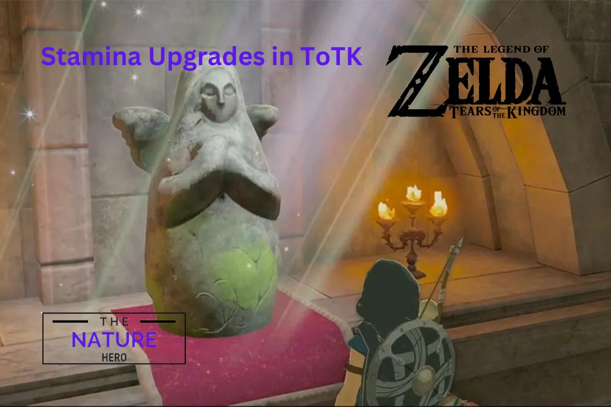 How Many Stamina Upgrades In TotK The Nature Hero   Stamina Upgrades In ToTK 