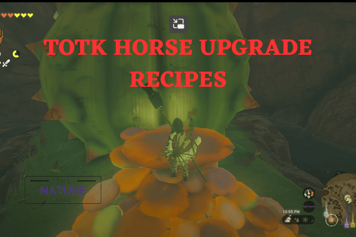 What Are Totk Horse Upgrade Recipes The Nature Hero   TOTK HORSE UPGRADE RECIPES 