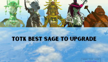 TotK Best Sage To Upgrade