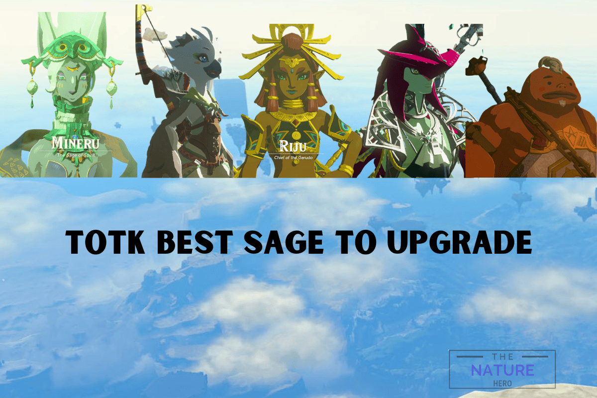 Best Sage To Upgrade In TotK Which One To Pick The Nature Hero   TotK Best Sage To Upgrade 