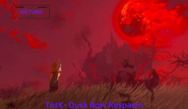 TotK- Dusk Bow Respawn