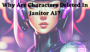 Why Are Characters Deleted In Janitor AI?