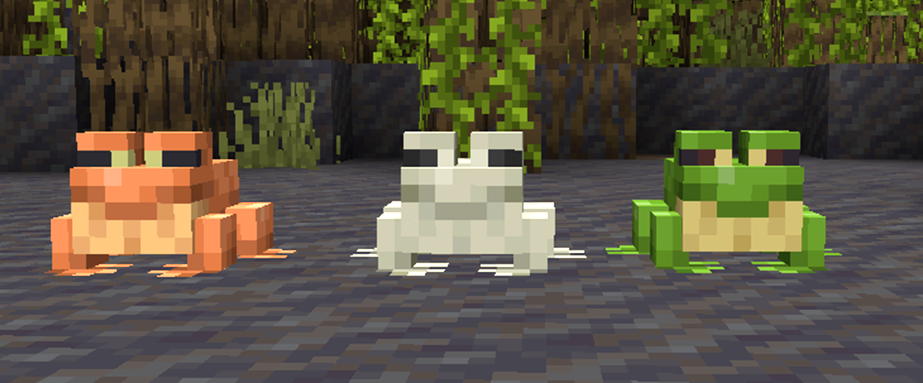All Three Types Of Frogs In Minecraft.