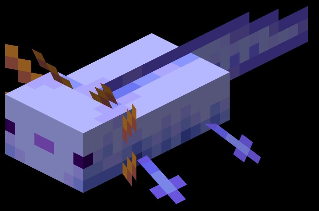 In-Game Model Of Axolotl In MInecraft.
