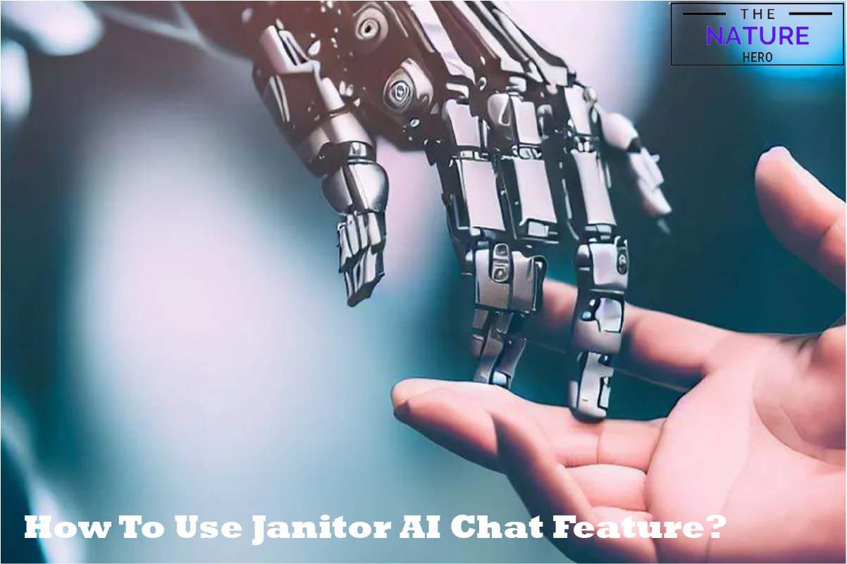 How To Chat With Janitor AI Characters? - The Nature Hero