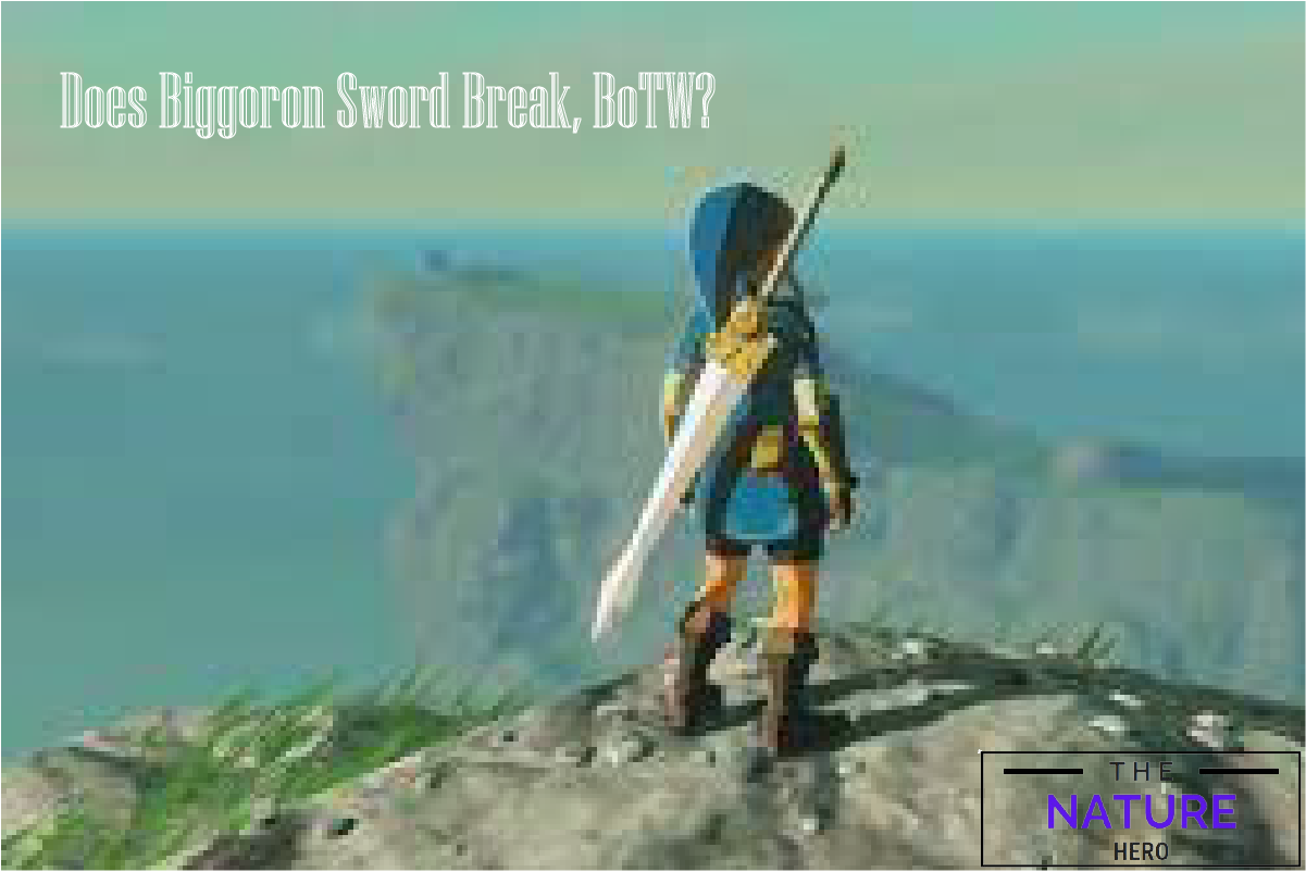 Does Biggoron Sword Break In BotW Breath Of The Wild The Nature Hero   Fimageforsword 