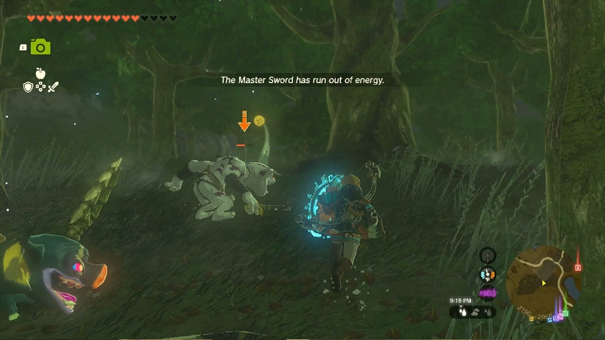 Why Is Master Sword Low On Energy In TotK? - The Nature Hero