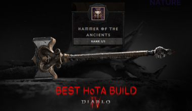 best hota build diablo 4