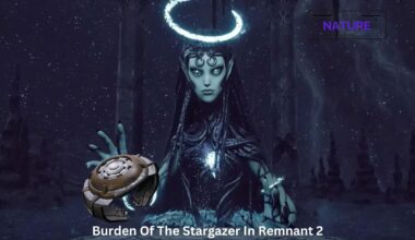 Burden Of The Stargazer In Remnant 2