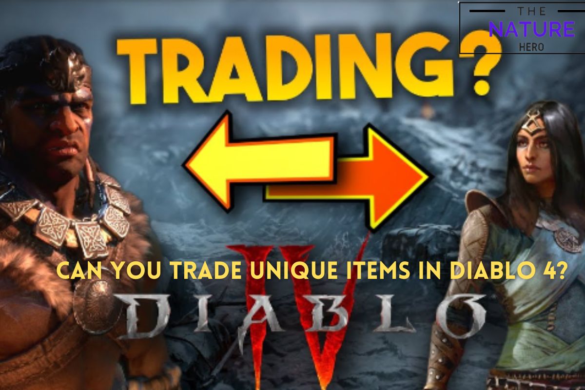 Can You Trade Uniques In Diablo 4? The Nature Hero
