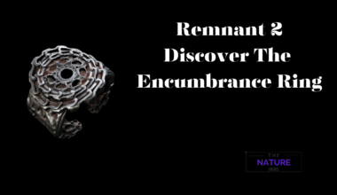 Discover The Encumbrance Ring