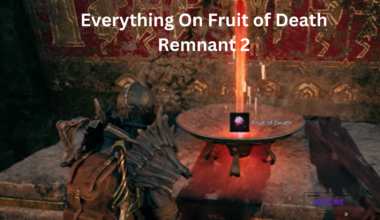 Everything On Fruit of Death Remnant 2