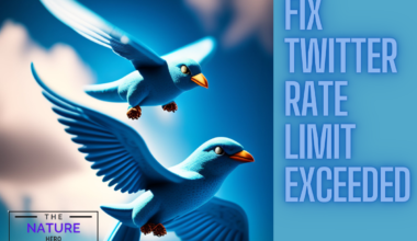 Fix Twitter Rate Limit Exceeded