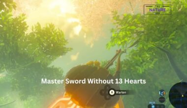 Master Sword Without 13 Hearts