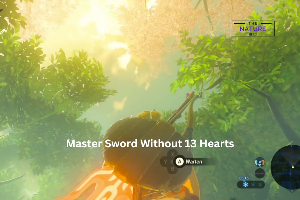 breath of the wild master sword without 13 hearts