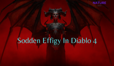 Sodden Effigy In Diablo 4