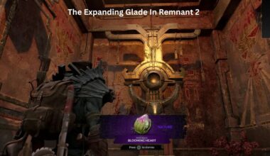 The Expanding Glade In Remnant 2