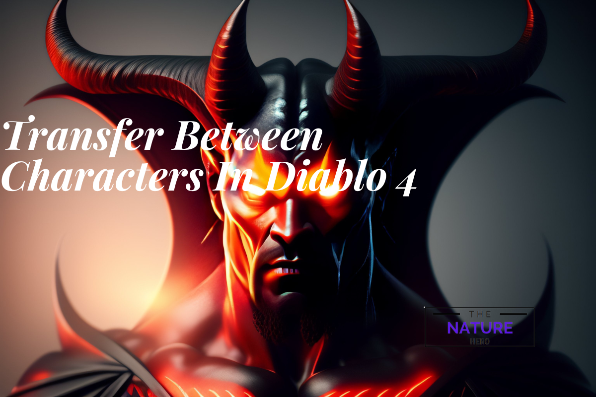 What To Transfer Between Characters In Diablo 4 The Nature Hero   Transfer Between Characters In Diablo 4 