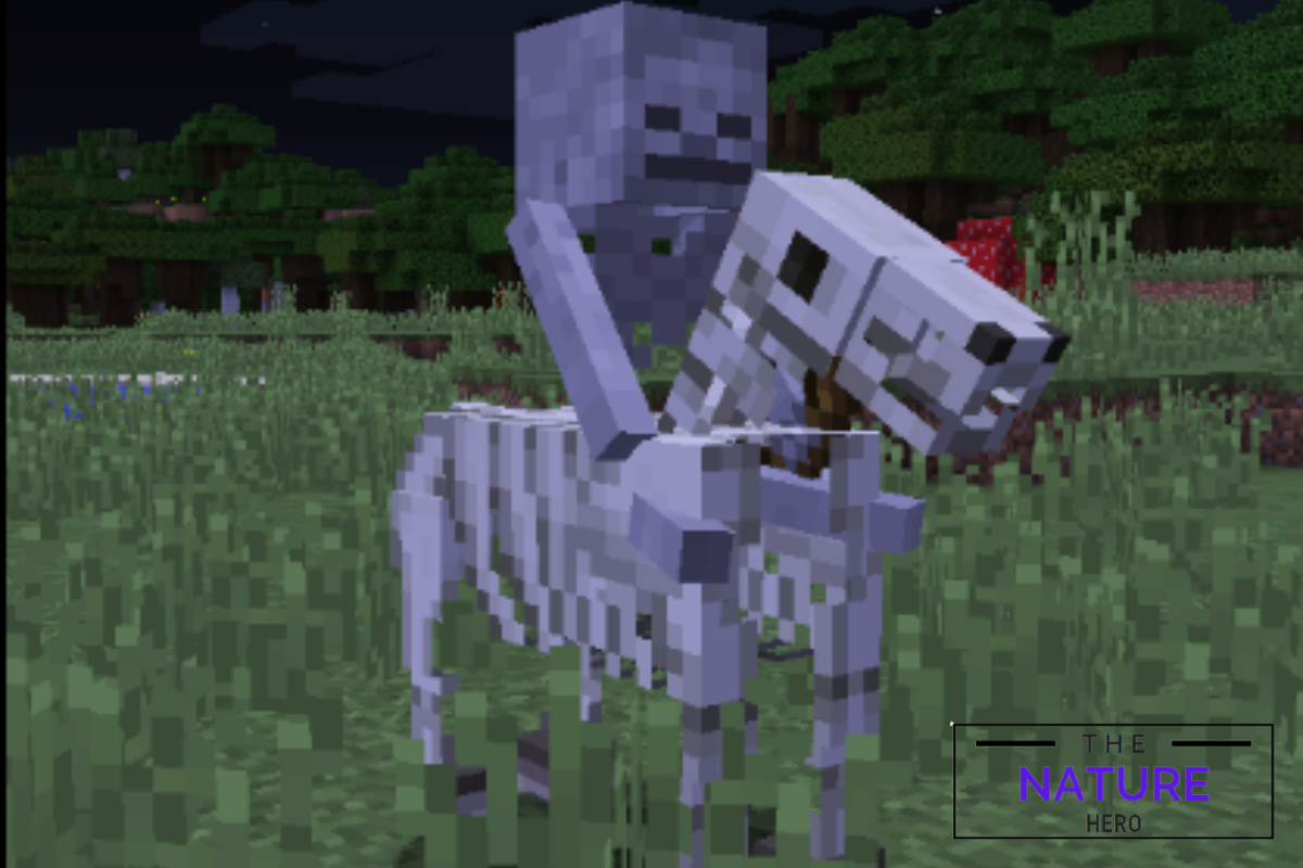 do-skeleton-horses-despawn-in-minecraft-the-nature-hero