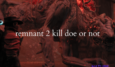 Kill Doe or Not Remnant 2