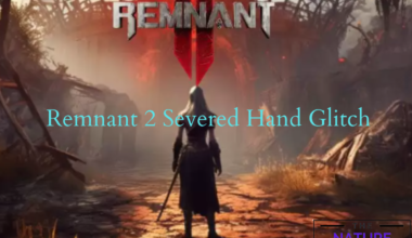 Remnant 2 Severed Hand glitch