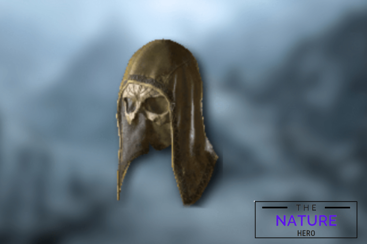 Why Is Harlequin Crest Called Shako In Diablo 4 The Nature Hero   Untitled Design 8 