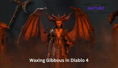 Waxing Gibbous in Diablo 4