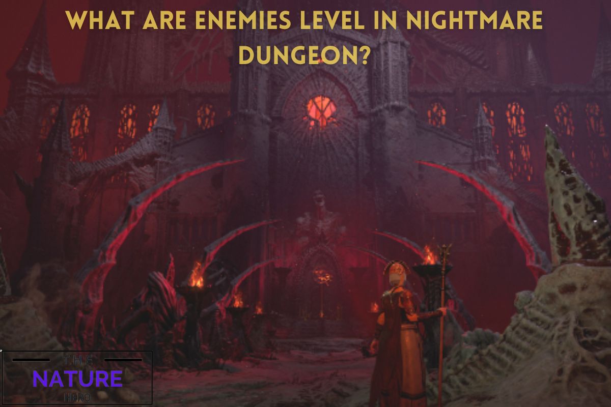 What Are Enemies Level In Nightmare Dungeon The Nature Hero   What Are Enemies Level In Nightmare Dungeon 