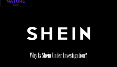 Why Is Shein Being Investigated