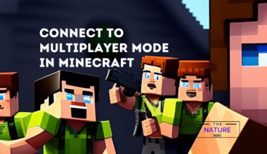 connect to multiplayer mode In minecraft
