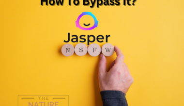 jasper chat NSFW