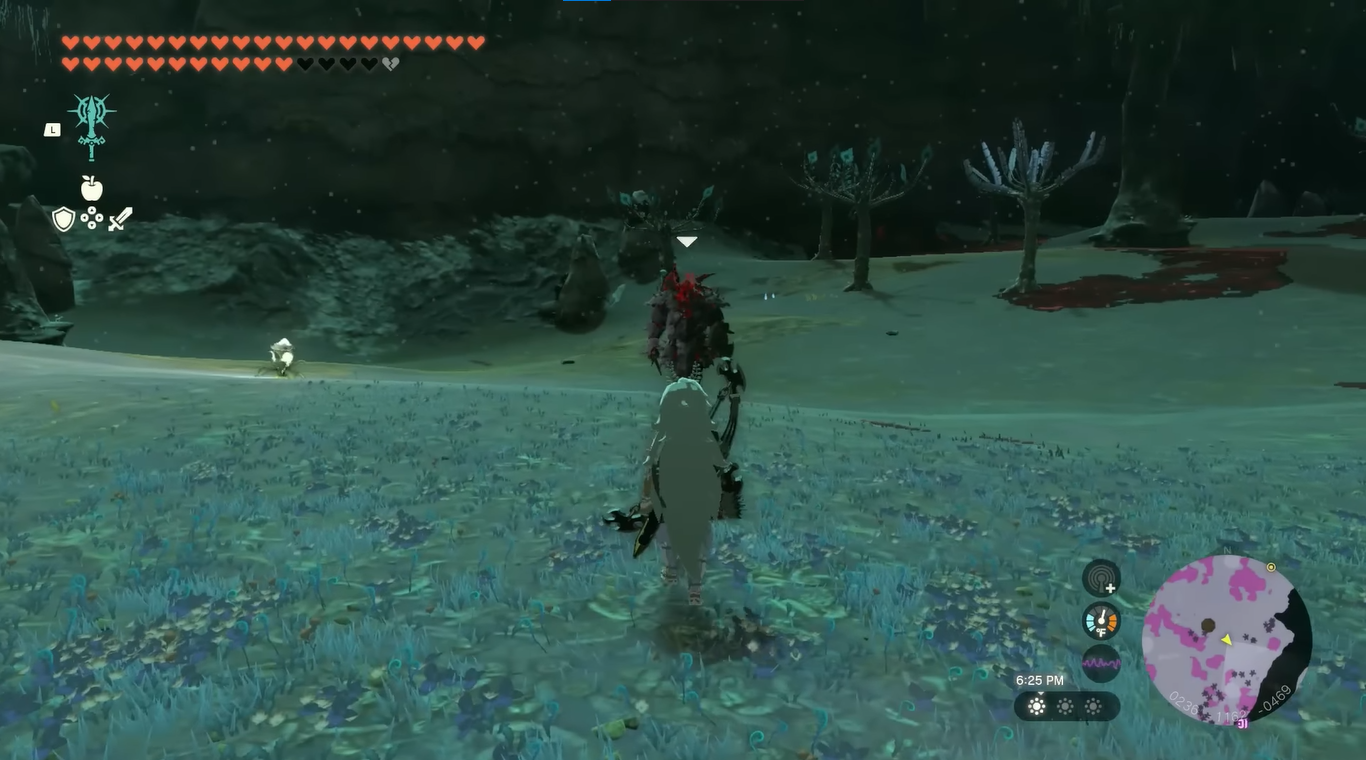 Approaching Lynel from behind 