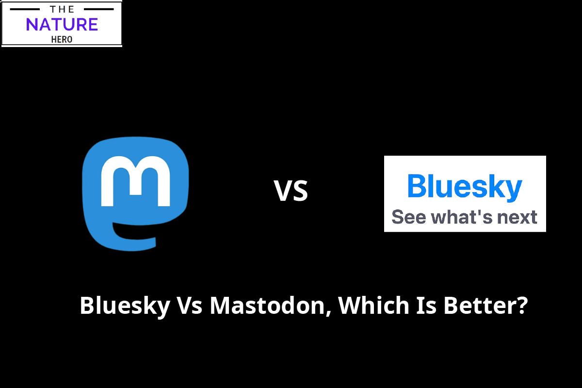 Bluesky Vs. Mastodon Which Is Better? The Nature Hero