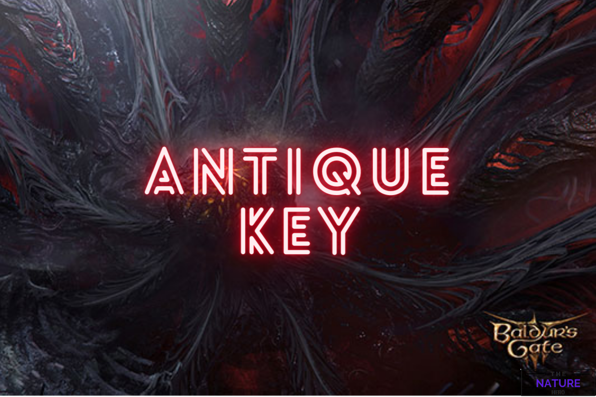 How To Use The Antique Key In BG3? - The Nature Hero