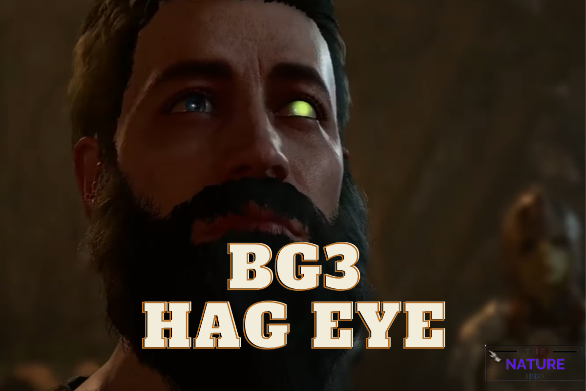 How To Get Baldurs Gate 3 Hag Eye The Nature Hero   BG3 Hag Eye 