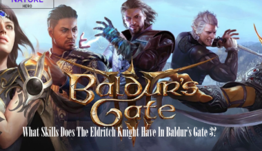 What skills does the eldritch knight have in Baldur's Gate 3?