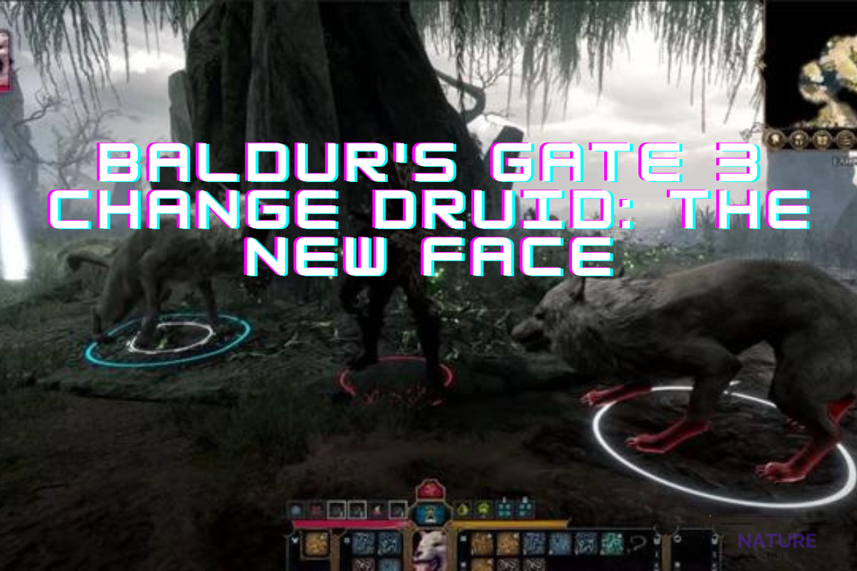 What Are The Changes In The Druid In Baldur S Gate 3 The Nature Hero   Baldurs Gate 3 Change Druid The New Face 1 