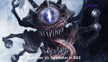 Beholder Vs Spectator In BG3