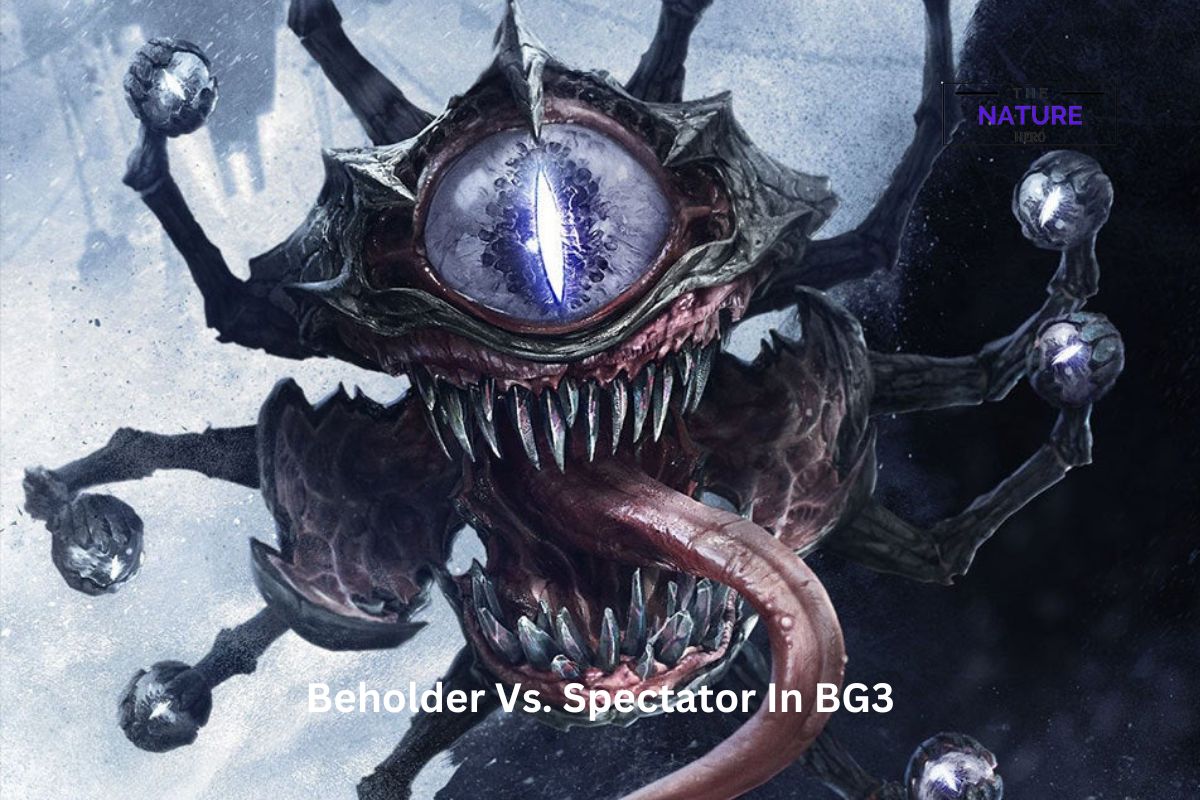 Beholder Vs Spectator A Comparative Analysis The Nature Hero   Beholder Vs. Spectator In BG3 