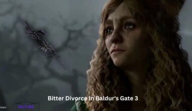 Bitter Divorce In Baldurs Gate 3