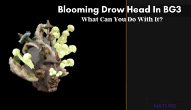 Blooming Drow Head In BG3