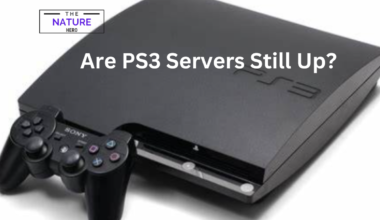 Are PS3 Servers Still Up
