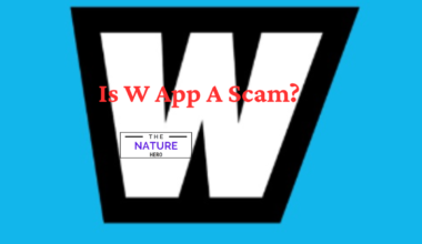 Is W App A Scam