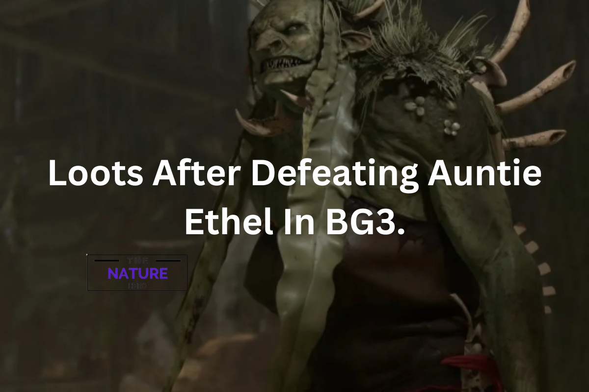 Loots After Defeating Auntie Ethel In Baldur S Gate 3 The Nature Hero   Can Gloom Sword Break 7 