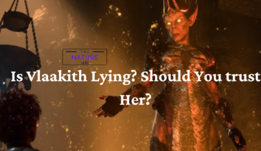 Is Vlaakith Lying in bg3