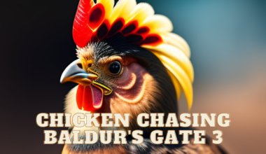 Chicken Chasing BG3